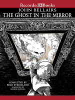 The_Ghost_in_the_Mirror
